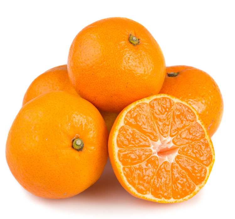 نهال نارنگی انشو توپر